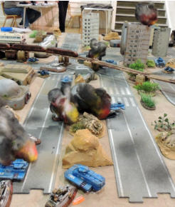 TAS carnage as Combat cars swing into action