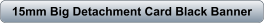download PDF