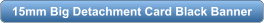 download PDF