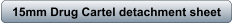 download PDF