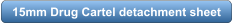 download PDF