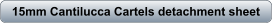 download PDF
