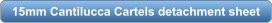 download PDF