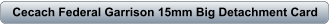 download PDF
