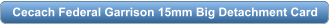 download PDF