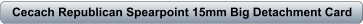 download PDF