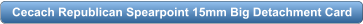 download PDF