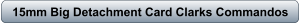 download PDF