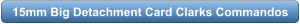 download PDF