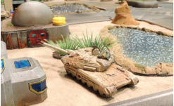 A Gryphon rotates its turret to return fire