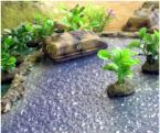 Warlords Mini Boot Camp in 15mm