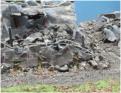Texian infantry in rubble