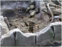 Texian infantry in rubble