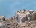 Texian infantry in rubble