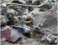 Texian infantry in rubble