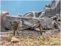 Texian infantry in rubble