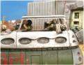 Slammers combat M9A7