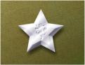Iridium Rank insignia of Hammer's Slammers: Colonel