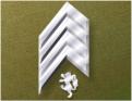 Iridium Rank insignia of Hammer's Slammers: Master Sergeant