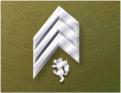 Iridium Rank insignia of Hammer's Slammers: Sergeant