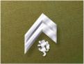 Iridium Rank insignia of Hammer's Slammers: Corporal