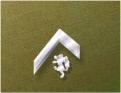 Iridium Rank insignia of Hammer's Slammers: Private 1st Class
