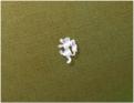 Iridium Rank insignia of Hammer's Slammers: Private 