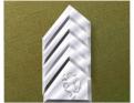 Iridium Rank insignia of Hammer's Slammers: Warrant Officer