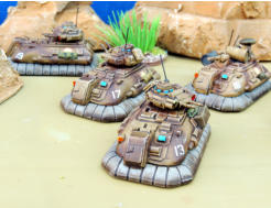 Solace MICV and command vehicles from the regular Cavalry Detachment