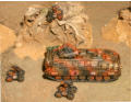 Ariete Division Lynx MICV and 'Palug' Remote Control vehicles