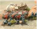 Ariete Division Lynx heavy APV and infantry