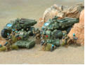Fasolini's Company infantry, support weapons and  transporter vehicles