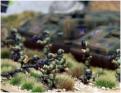Infantry deploy from APCs. The long barreled weapons are light laser support guns