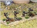 Infantry