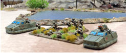Mechanised infantry Troop