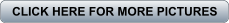 download PDF