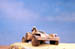 sincanmo powergun gecko from front
