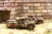 Thunderbolt Division Tank and TICV