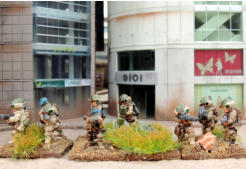 Mortar team with support