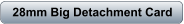 download PDF