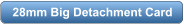 download PDF