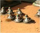 Slammers infantry on skimmers