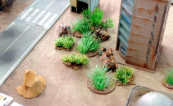 Arietes hide their command vehicle