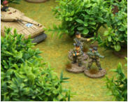 Stewart infantry deploy (Brigade)