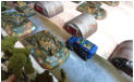 Waldheims move past a parked vehicle