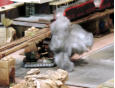 A burning Division Legere Pathere tank under the monorail