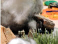 Sincanmo Hunchback destroyed by a light ATGW missile 
