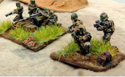 Finished support weapon and Buzzbomb team