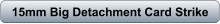 download PDF