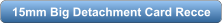 download PDF